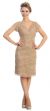 V-Neck Short Sleeves Short Formal Party Dress in Lace in Taupe